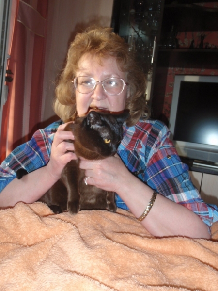 Кошки в нашей жизни. Кошки и все, что с ними связано.