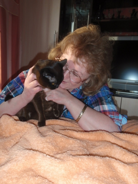 Кошки в нашей жизни. Кошки и все, что с ними связано.