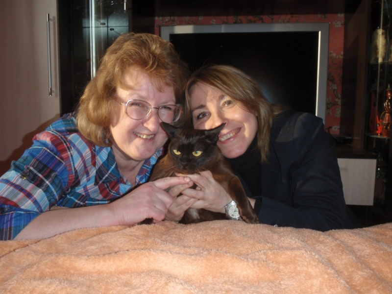 Кошки в нашей жизни. Кошки и все, что с ними связано.