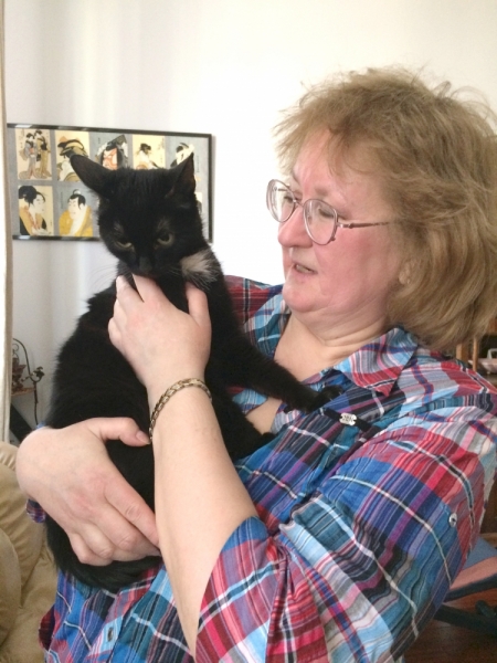 Кошки в нашей жизни. Кошки и все, что с ними связано.