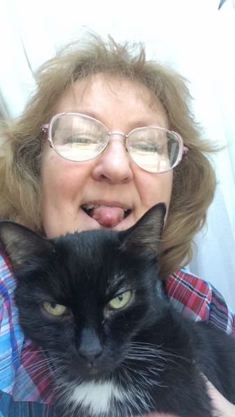 Кошки в нашей жизни. Кошки и все, что с ними связано.