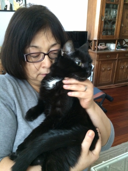 Кошки в нашей жизни. Кошки и все, что с ними связано.