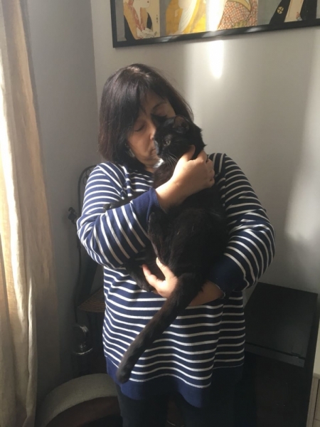 Кошки в нашей жизни. Кошки и все, что с ними связано.