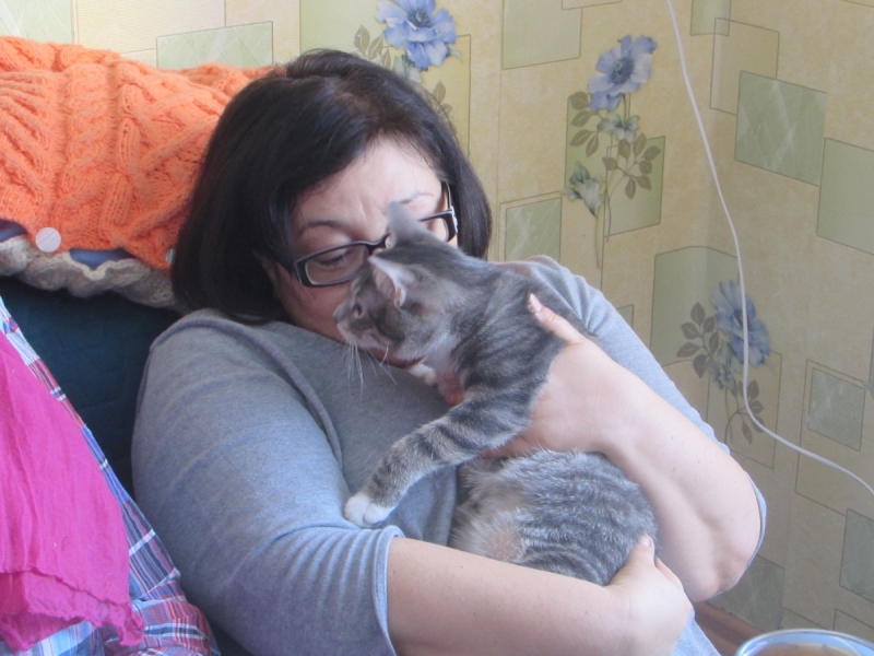 Кошки в нашей жизни. Кошки и все, что с ними связано.