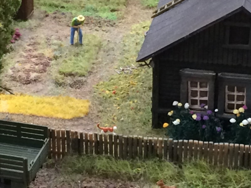 Кошки в нашей жизни. Кошки и все, что с ними связано.