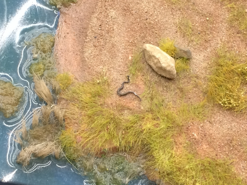 Кошки в нашей жизни. Кошки и все, что с ними связано.