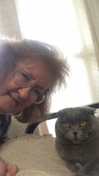 Кошки в нашей жизни. Кошки и все, что с ними связано.