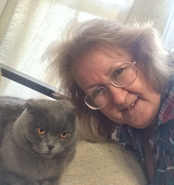 Кошки в нашей жизни. Кошки и все, что с ними связано.