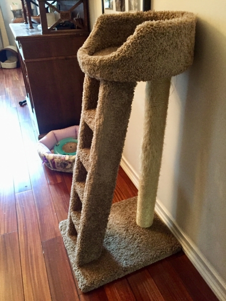 Кошки в нашей жизни. Кошки и все, что с ними связано.