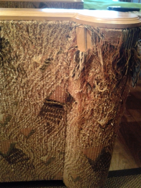 Кошки в нашей жизни. Кошки и все, что с ними связано.