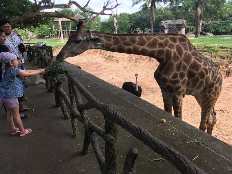 Ко Чанг вдвоем с шестилетним ребенком или побег сильной и независимой ))))