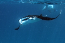 Мальдивы. Vilamendhoo. Октябрь 2011.