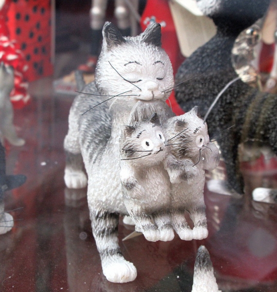 Кошки в нашей жизни. Кошки и все, что с ними связано.