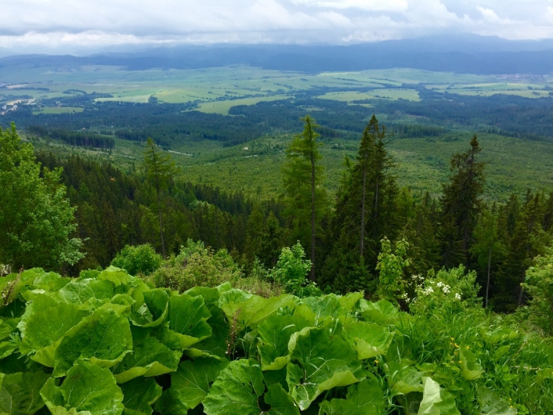 Природа и природный пейзаж в фотографиях