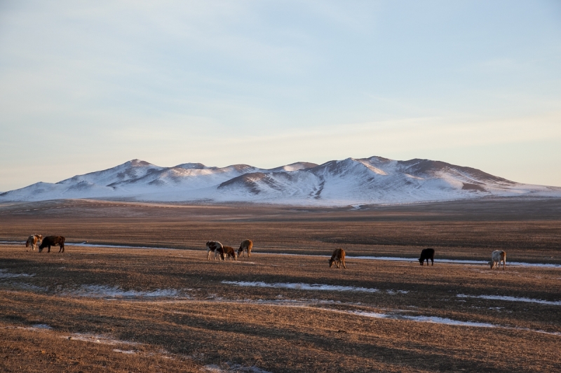 Через лёд Байкала в Монголию