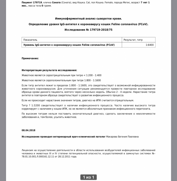 Кошки в нашей жизни. Кошки и все, что с ними связано.