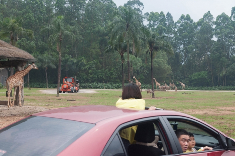 Китай 2016 глазами обывателей!