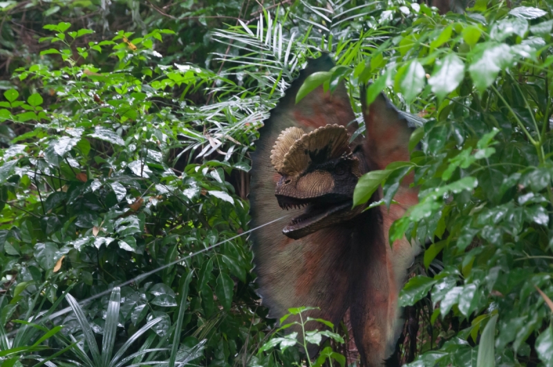 Китай 2016 глазами обывателей!