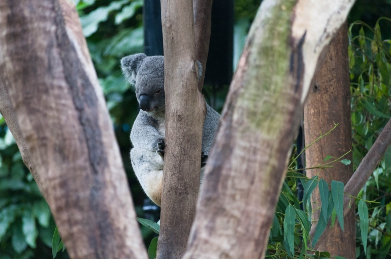 Китай 2016 глазами обывателей!