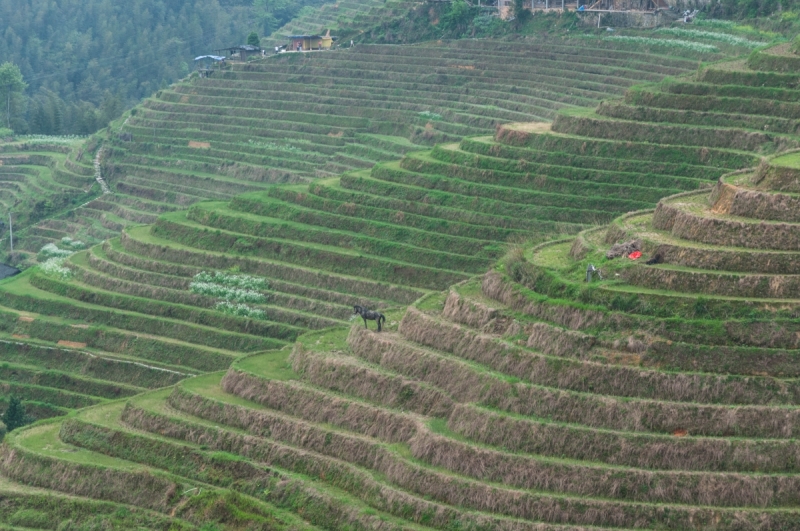 Китай 2016 глазами обывателей!