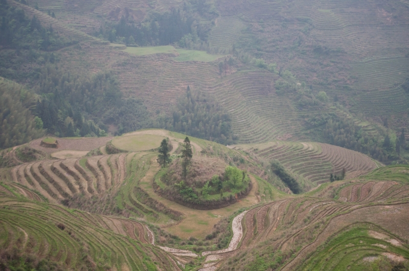 Китай 2016 глазами обывателей!