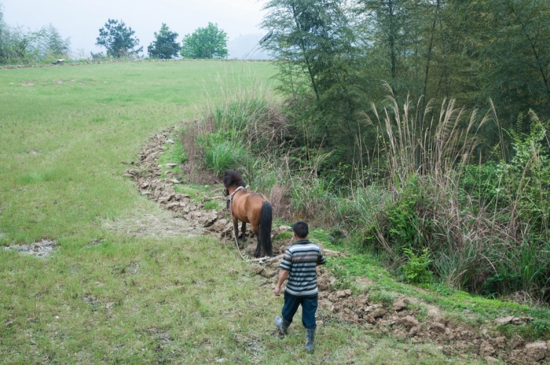 Китай 2016 глазами обывателей!