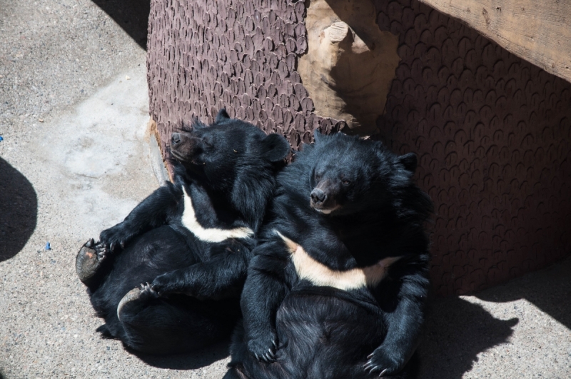 Китай 2016 глазами обывателей!