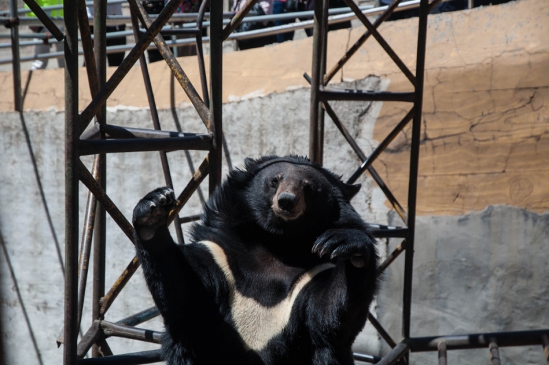 Китай 2016 глазами обывателей!