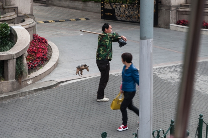 Китай 2016 глазами обывателей!