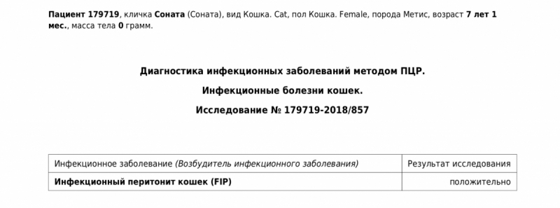 Кошки в нашей жизни. Кошки и все, что с ними связано.