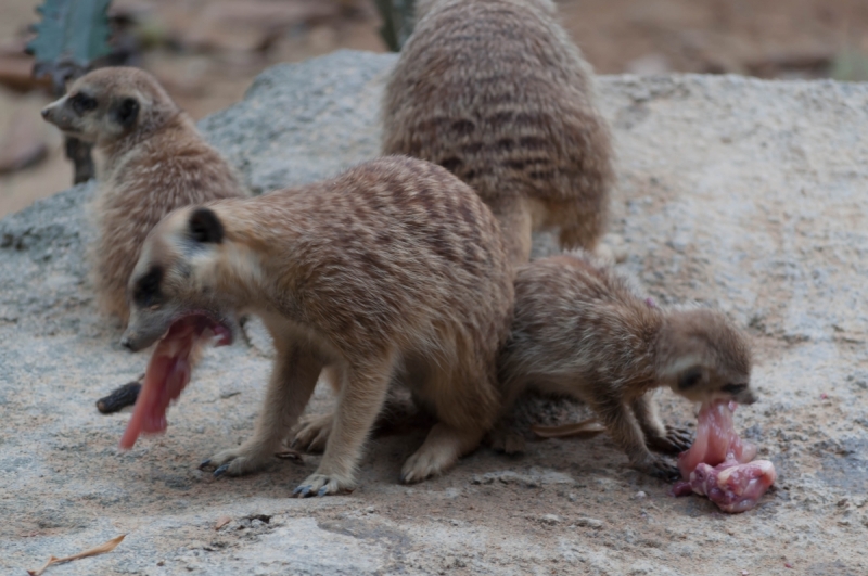 Китай 2016 глазами обывателей!