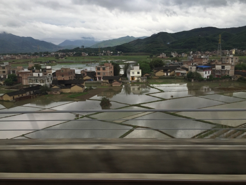 Китай 2016 глазами обывателей!