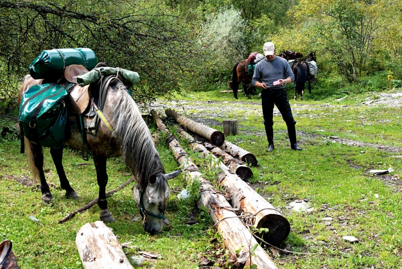 Конный поход по Горному Алтаю 2017 г
