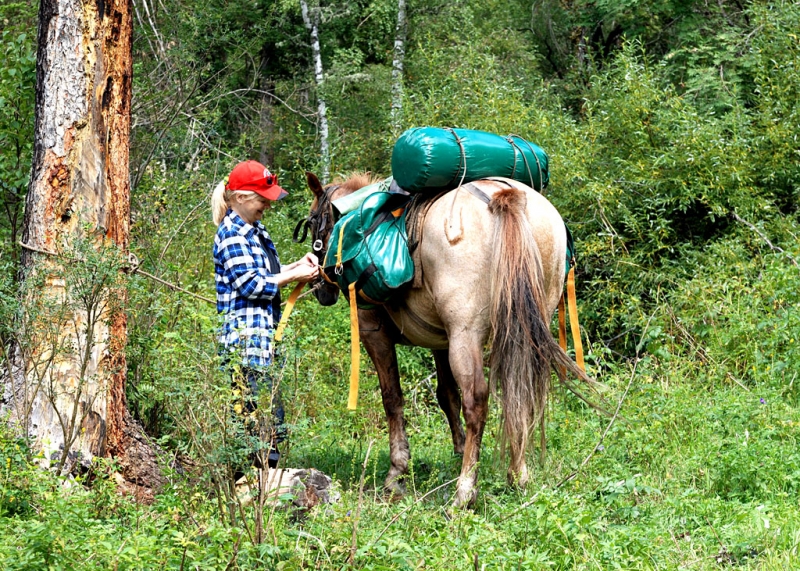 Конный поход по Горному Алтаю 2017 г