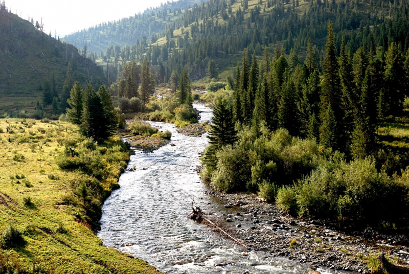 Конный поход по Горному Алтаю 2017 г