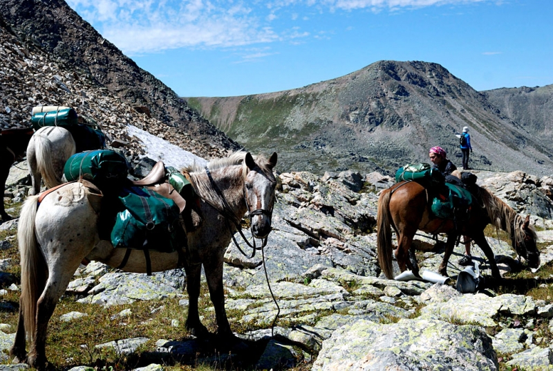 Конный поход по Горному Алтаю 2017 г
