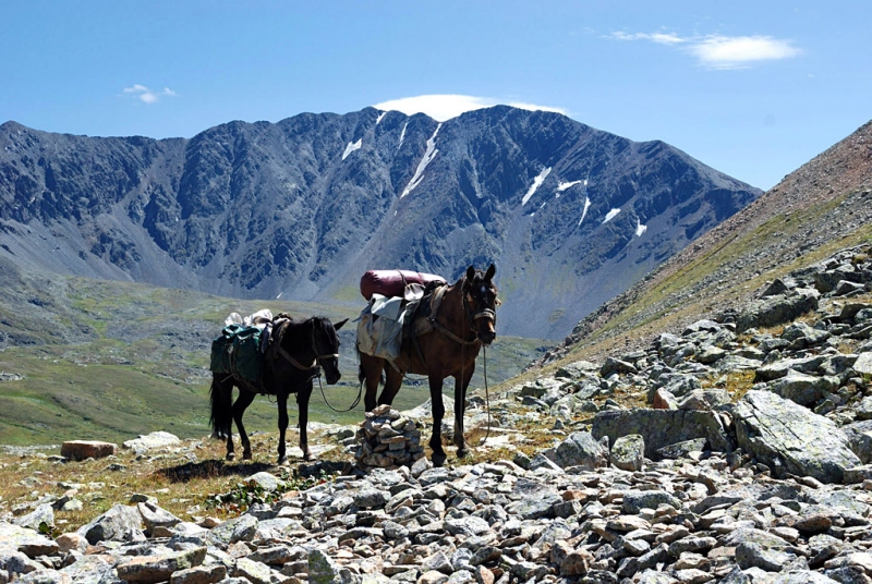 Конный поход по Горному Алтаю 2017 г