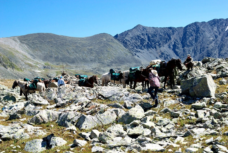 Конный поход по Горному Алтаю 2017 г