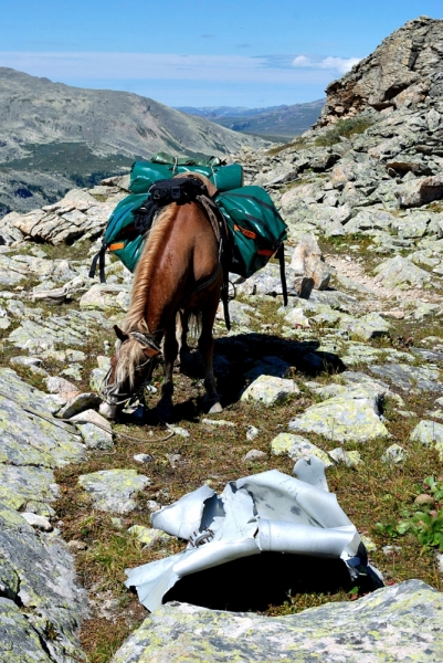 Конный поход по Горному Алтаю 2017 г