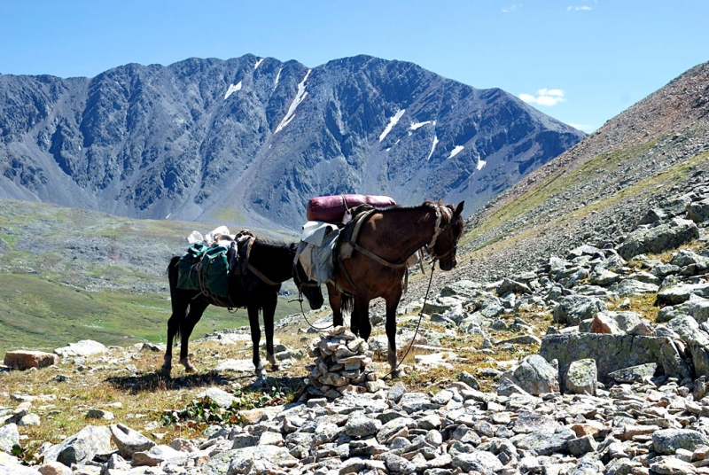 Конный поход по Горному Алтаю 2017 г