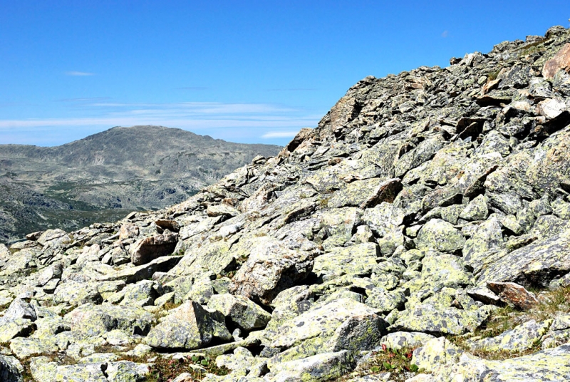 Конный поход по Горному Алтаю 2017 г