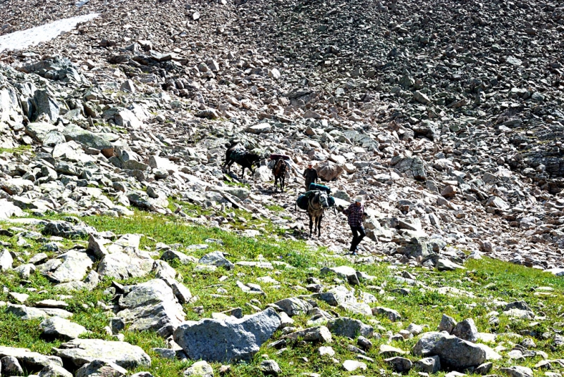 Конный поход по Горному Алтаю 2017 г