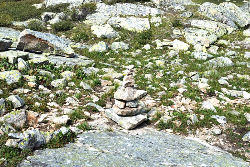 Конный поход по Горному Алтаю 2017 г