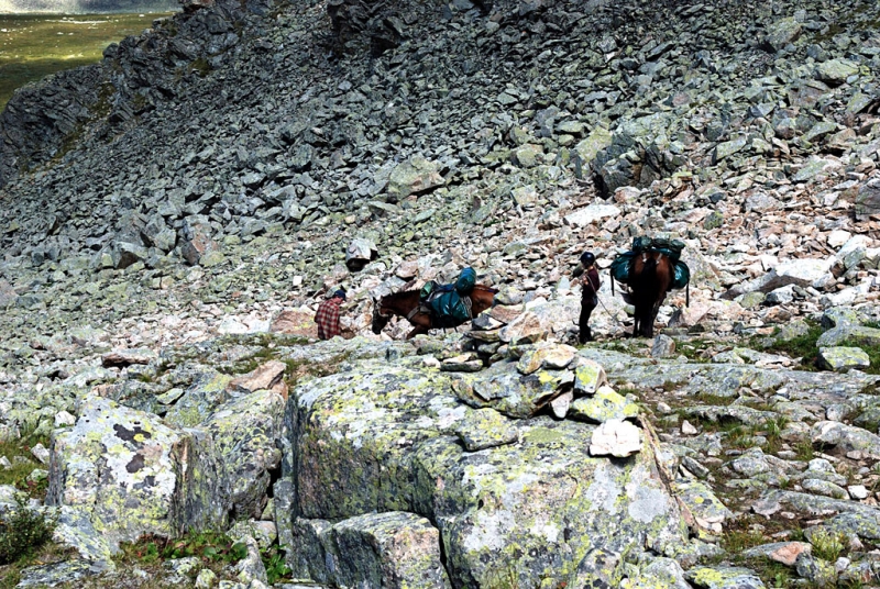 Конный поход по Горному Алтаю 2017 г