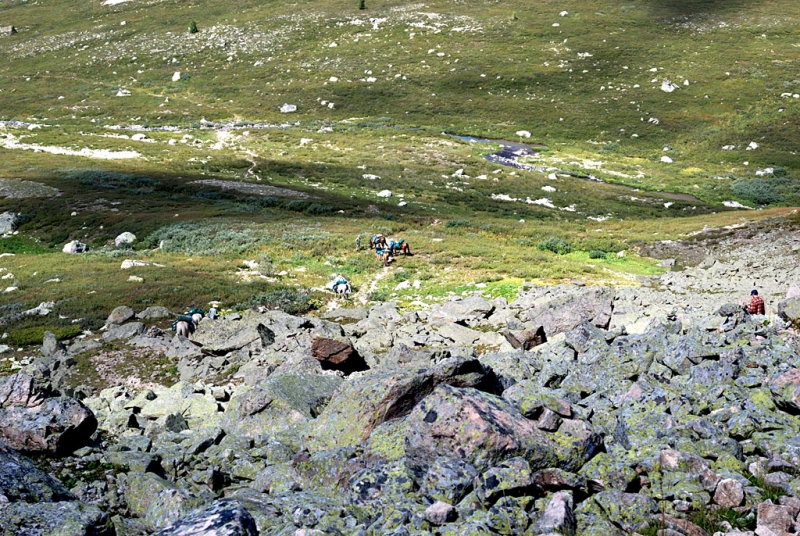 Конный поход по Горному Алтаю 2017 г