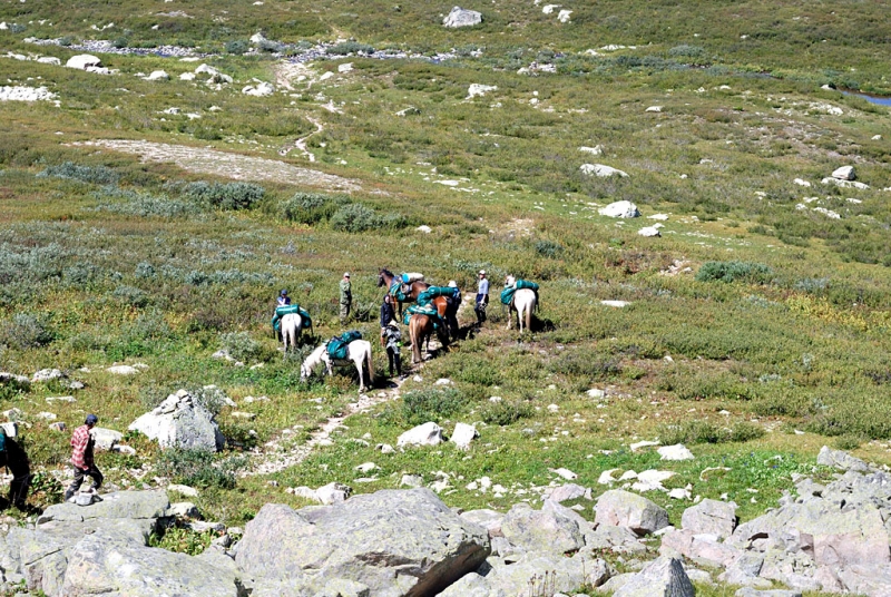 Конный поход по Горному Алтаю 2017 г