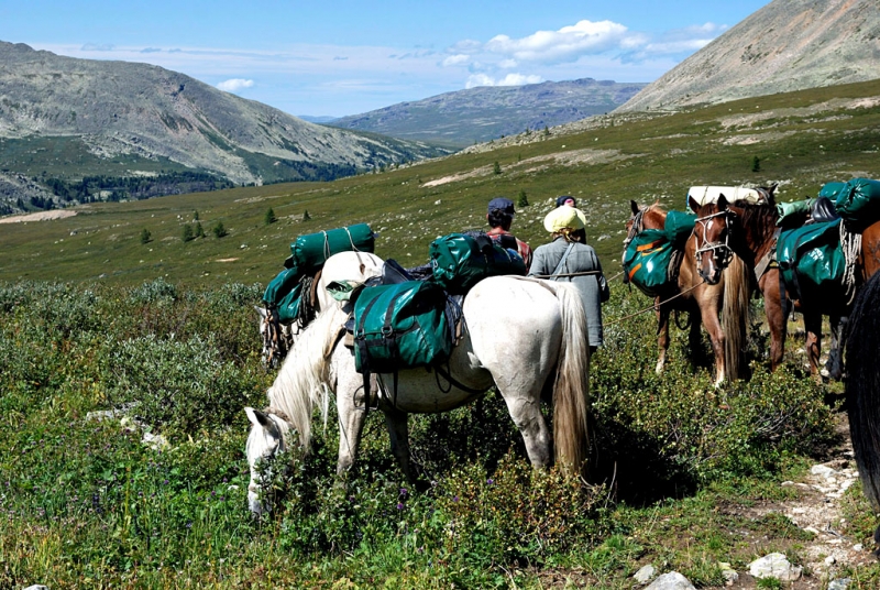 Конный поход по Горному Алтаю 2017 г