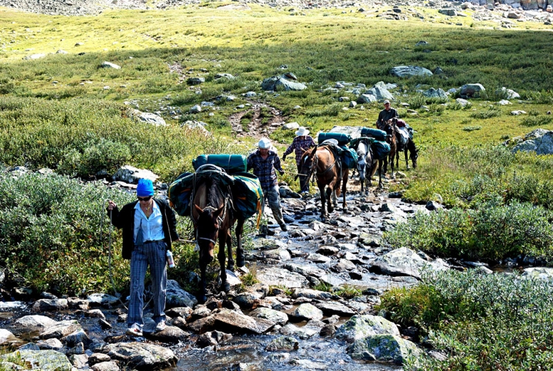 Конный поход по Горному Алтаю 2017 г