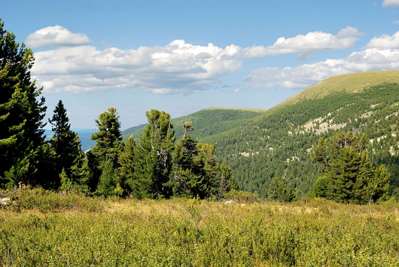 Конный поход по Горному Алтаю 2017 г
