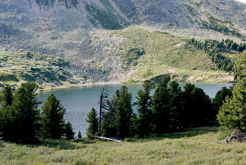 Конный поход по Горному Алтаю 2017 г